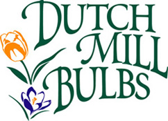 Dutch Mill Bulbs