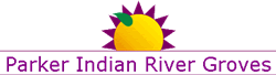 parker_indian